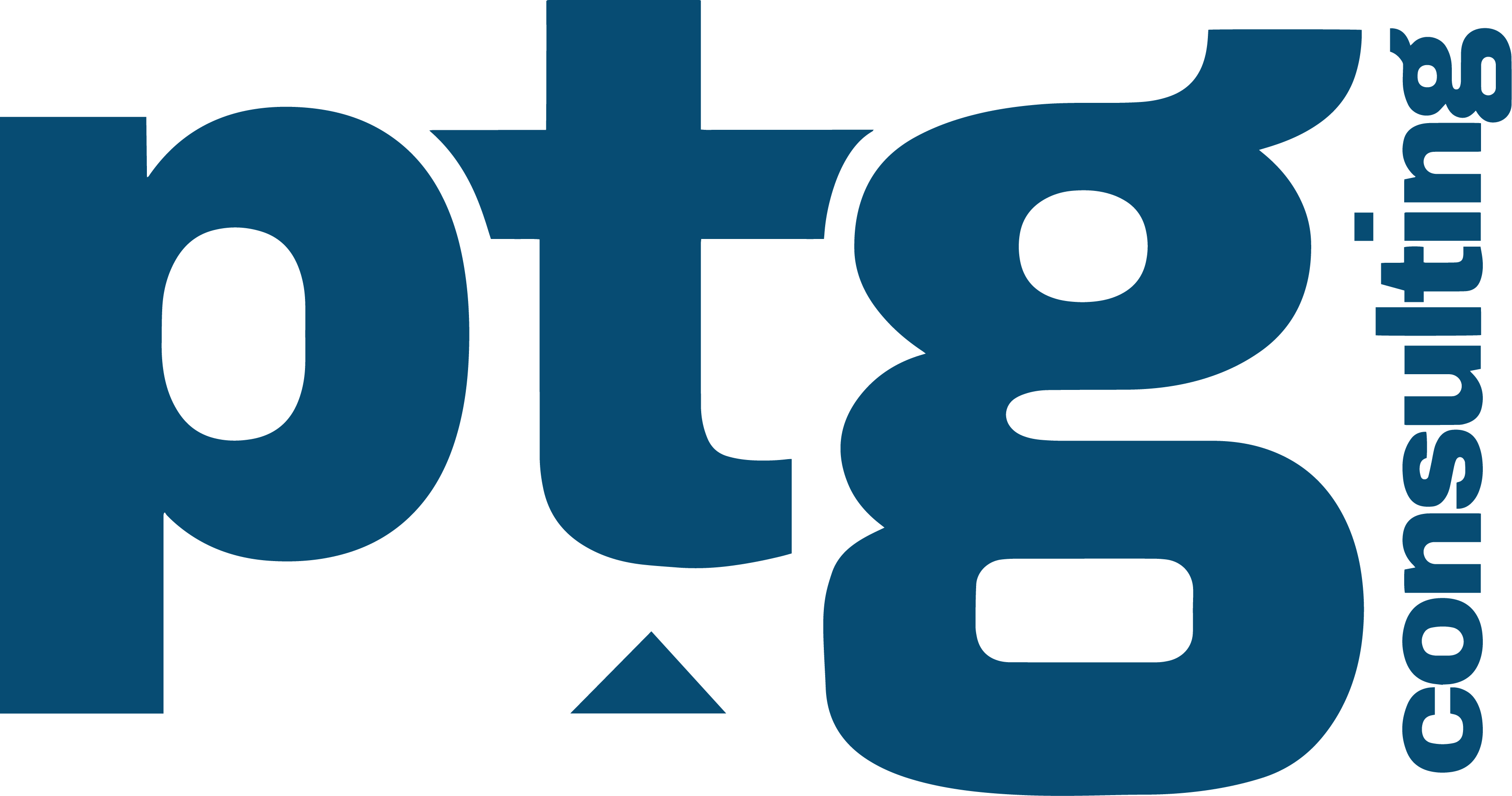 PTG Consulting